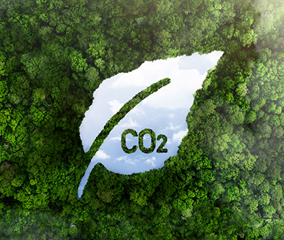 คาร์บอนฟุตพรินต์