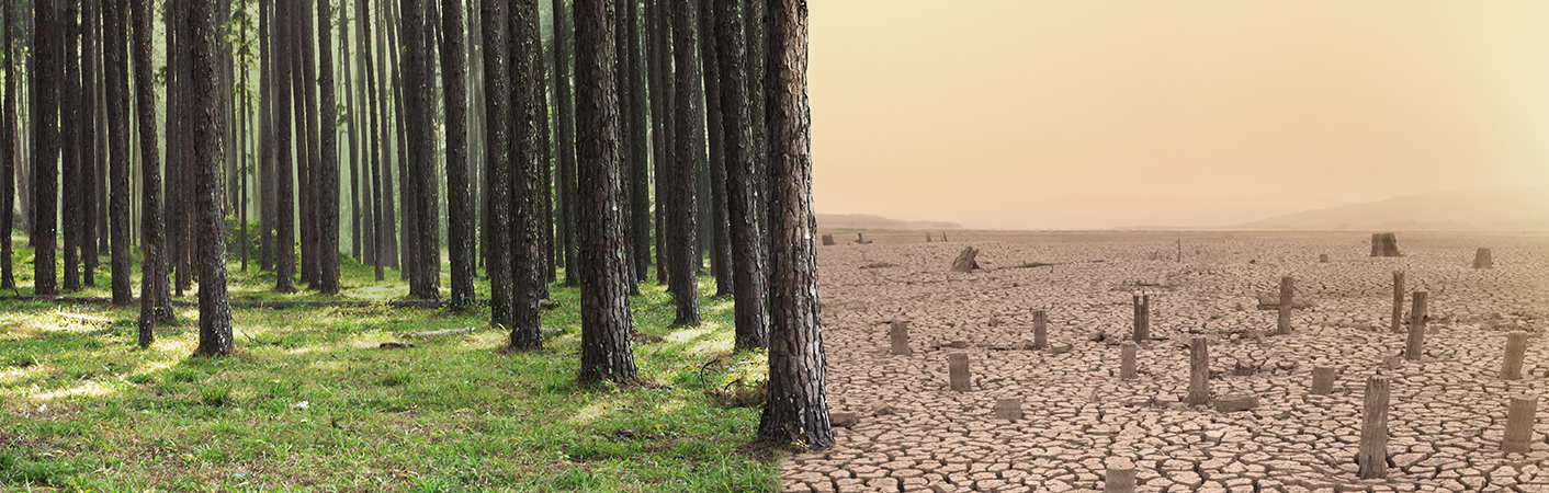 วิกฤตการณ์สภาพภูมิอากาศทั่วโลก ส่งผลกระทบโดยตรงต่อการดํารงชีวิตของมนุษยชาติ ไม่ว่าจะเป็นในเรื่องของความเป็นอยู่ คุณภาพชีวิต หรือแม้กระทั่ง
    เศรษฐกิจโลก